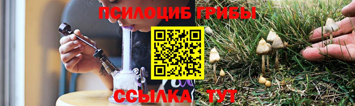 Псилоцибиновые грибы MAGIC MUSHROOMS  Вход с VPN  Родники 